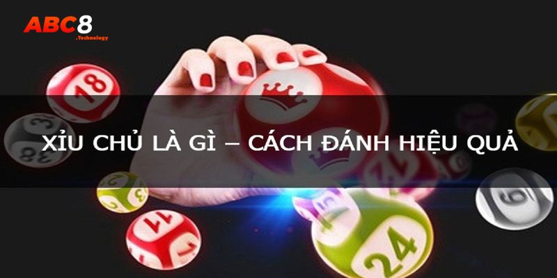 Xỉu Chủ Là Gì? Các Cách Soi Cầu Để Không Bao Giờ Thất Bại